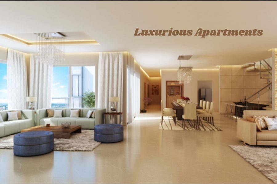 luxurious apartments characteristics