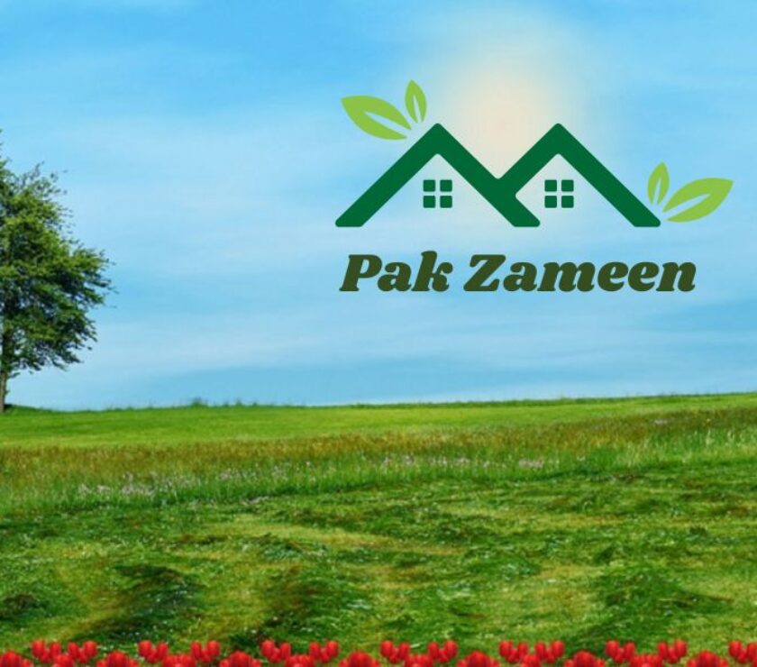 pak zameen