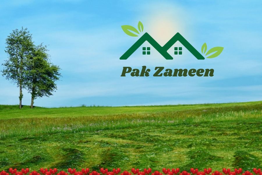 pak zameen